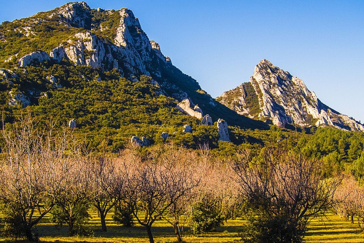 A mountain with a few trees in front of it