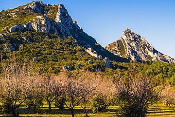 A mountain with a few trees in front of it