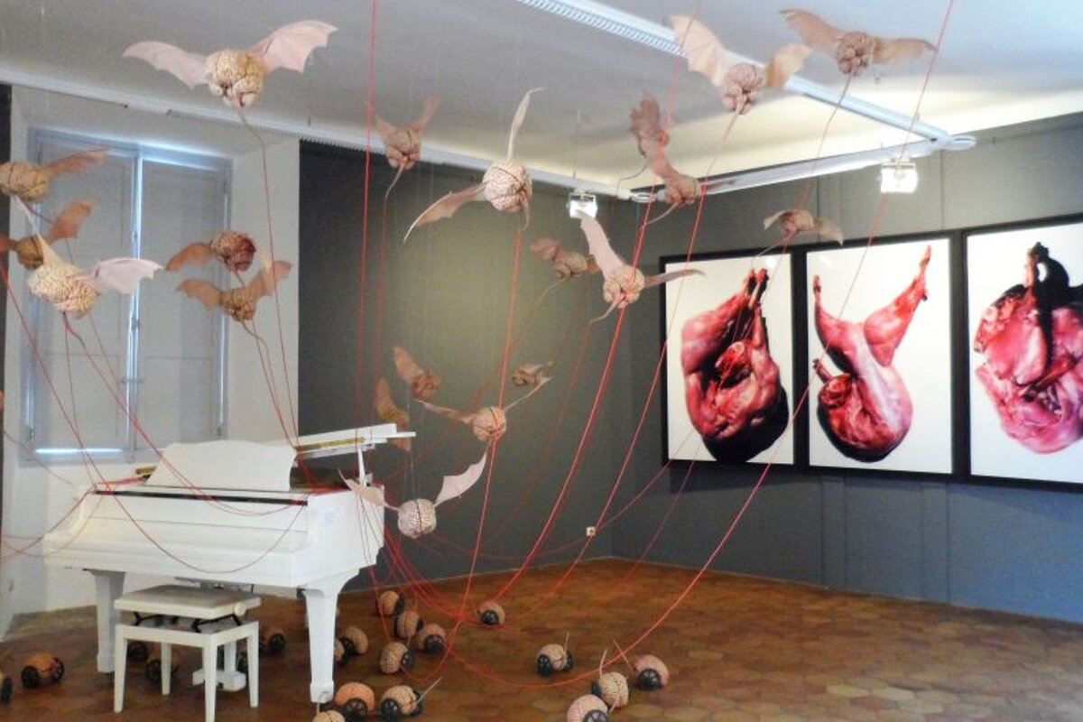 A white piano sits in a room with bats hanging from the ceiling