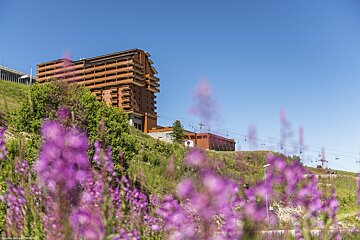 A large, tiered building on a green hillside under a clear blue sky, partially obscured by vibrant, out-of-focus purple wildflowers.