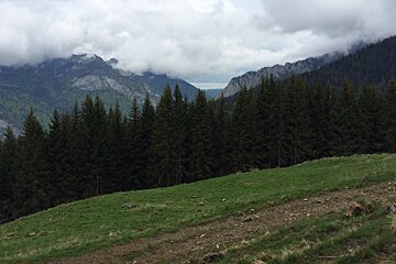 A view of a mountain range with trees and grass in the foreground