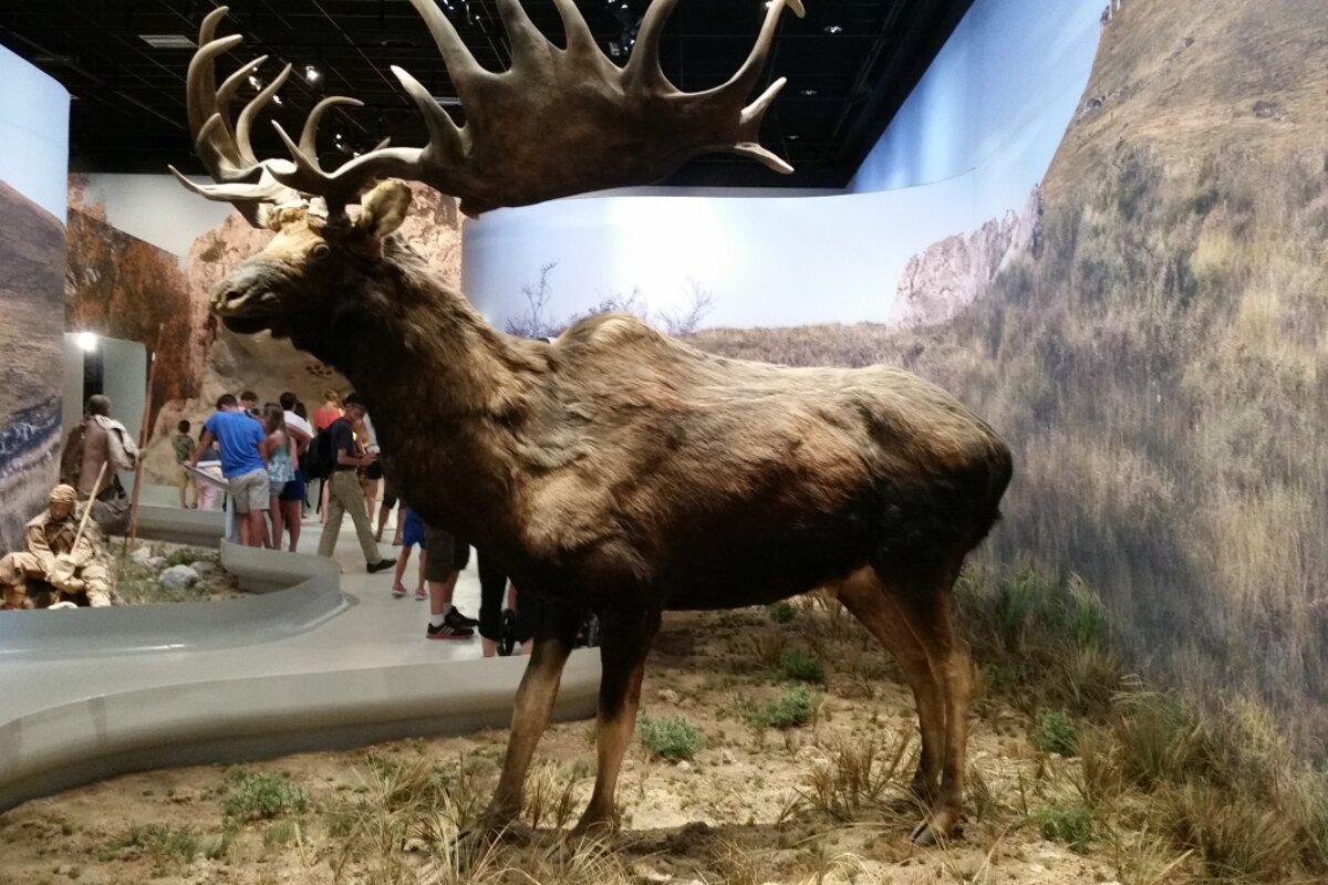 Inside the Aurignacian exhibit