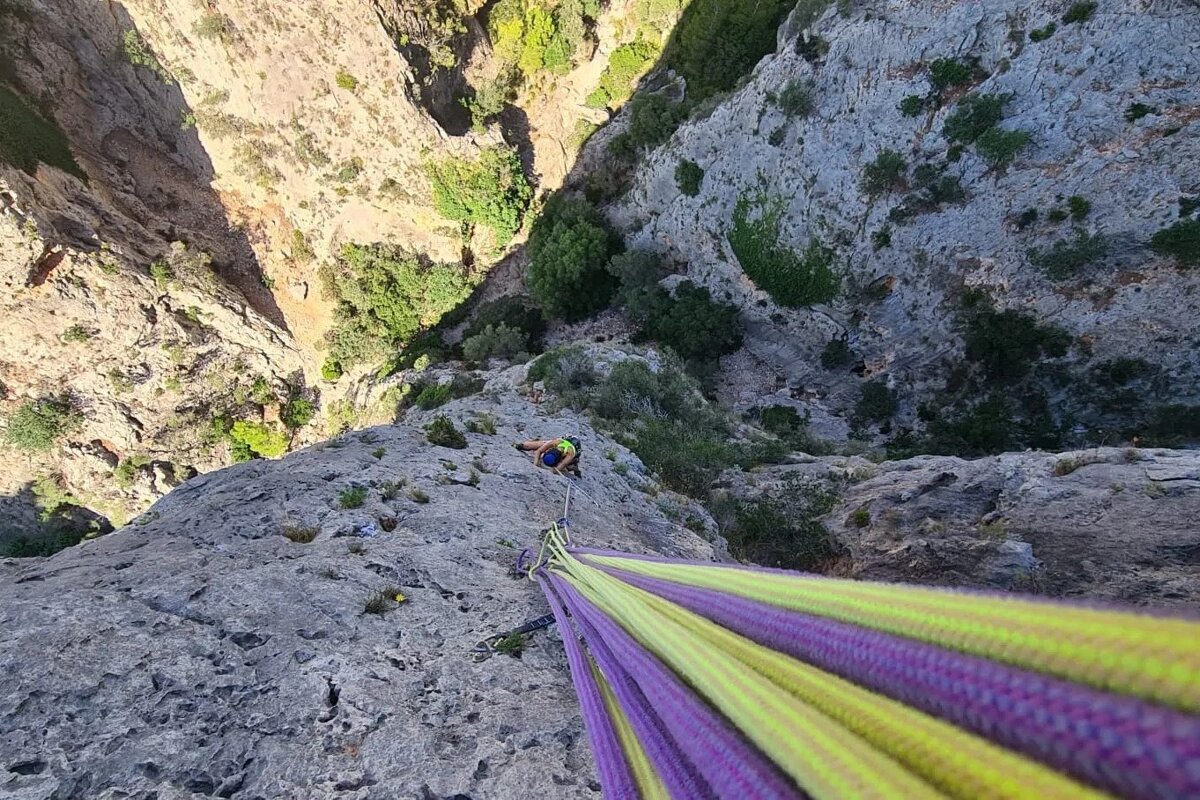 A person is climbing up a cliff with purple and yellow ropes