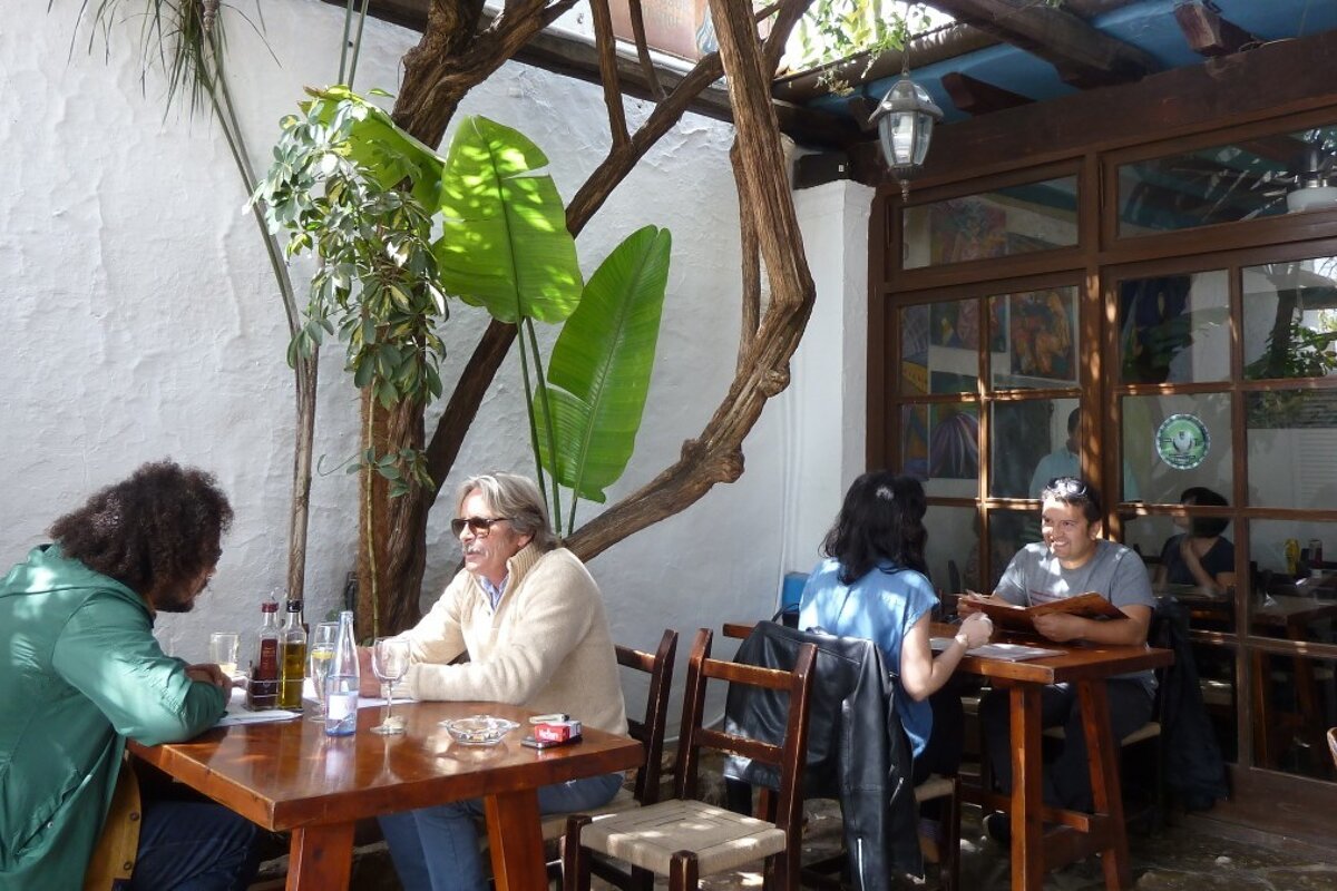 Bar Anita, San Carlos garden