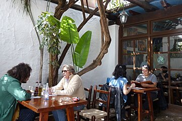 Bar Anita, San Carlos garden