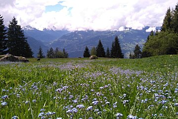Recce The Route : Balcon des Fiz 22km