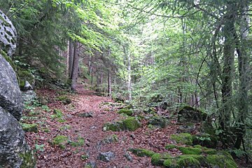 Recce The Route : Balcon des Fiz 22km