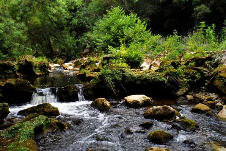 Sentier de La Brague Walk walking