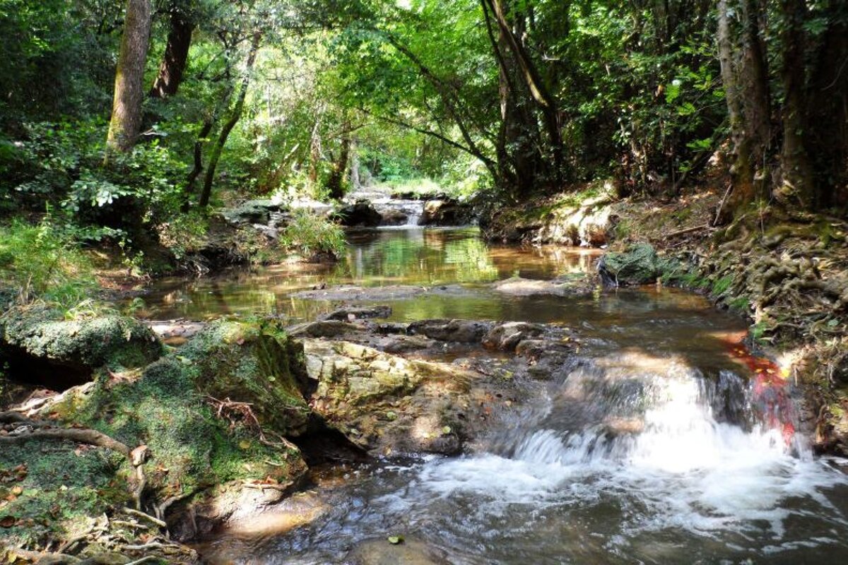 Sentier de La Brague Walk walking