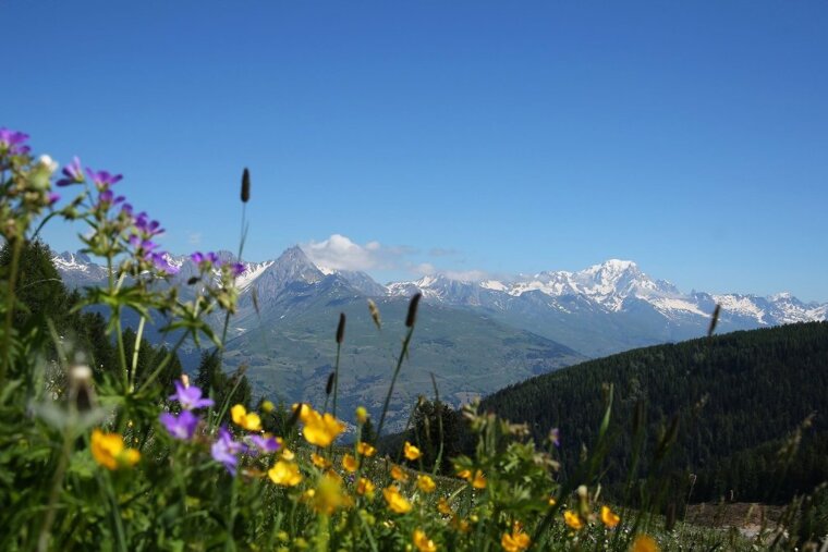 Why La Plagne is great in summer 2019