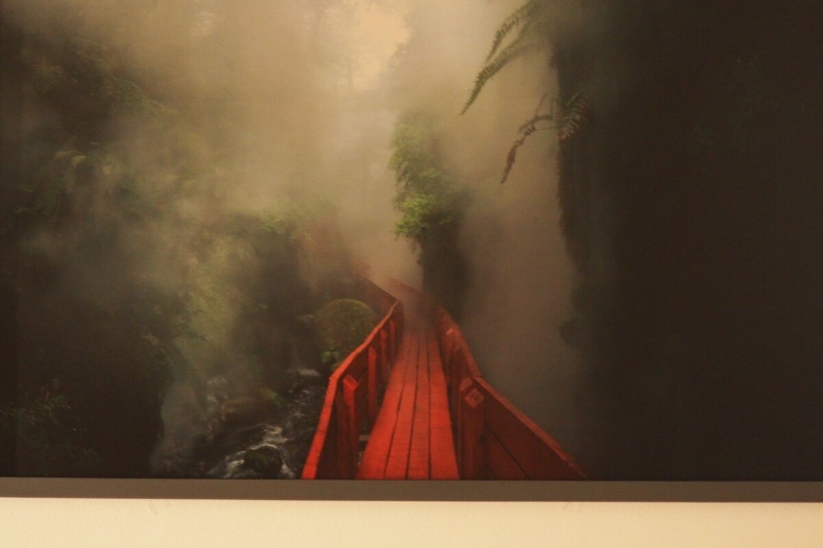 a painting of a red bridge in a mallorca museum