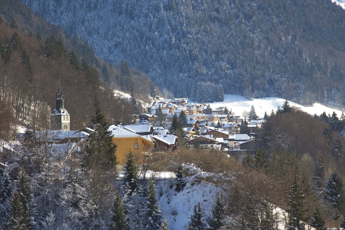photo of town in the trees