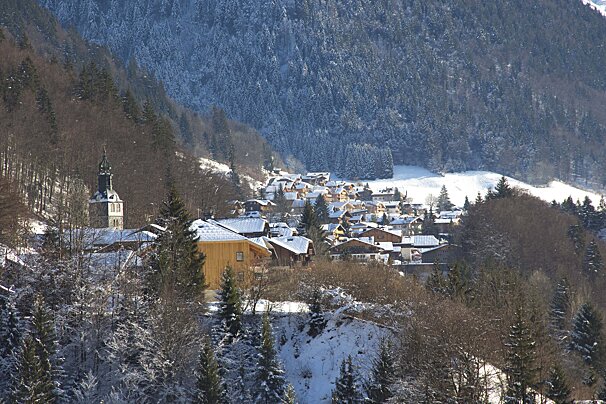 photo of town in the trees