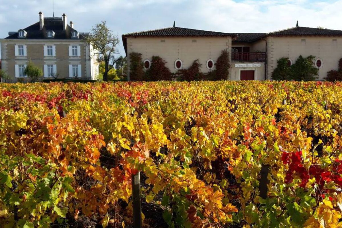 Chateau Haut Bailly, Pessac
