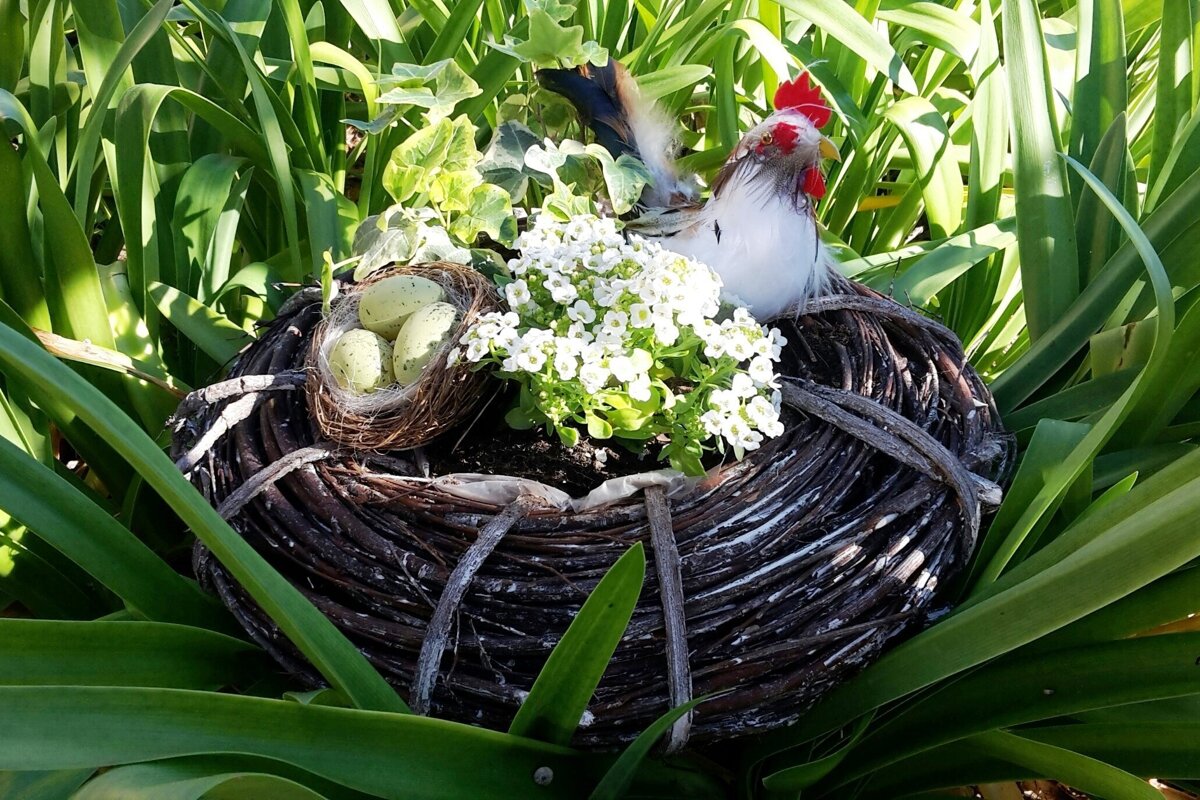 A spring-themed garden display: a decorative rooster in a large nest planter with white flowers, a small nest of green eggs, amidst green foliage.