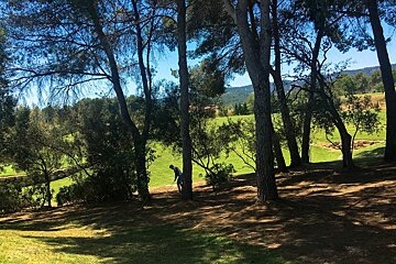 Playing the Pitch & Putt golf course near Palma