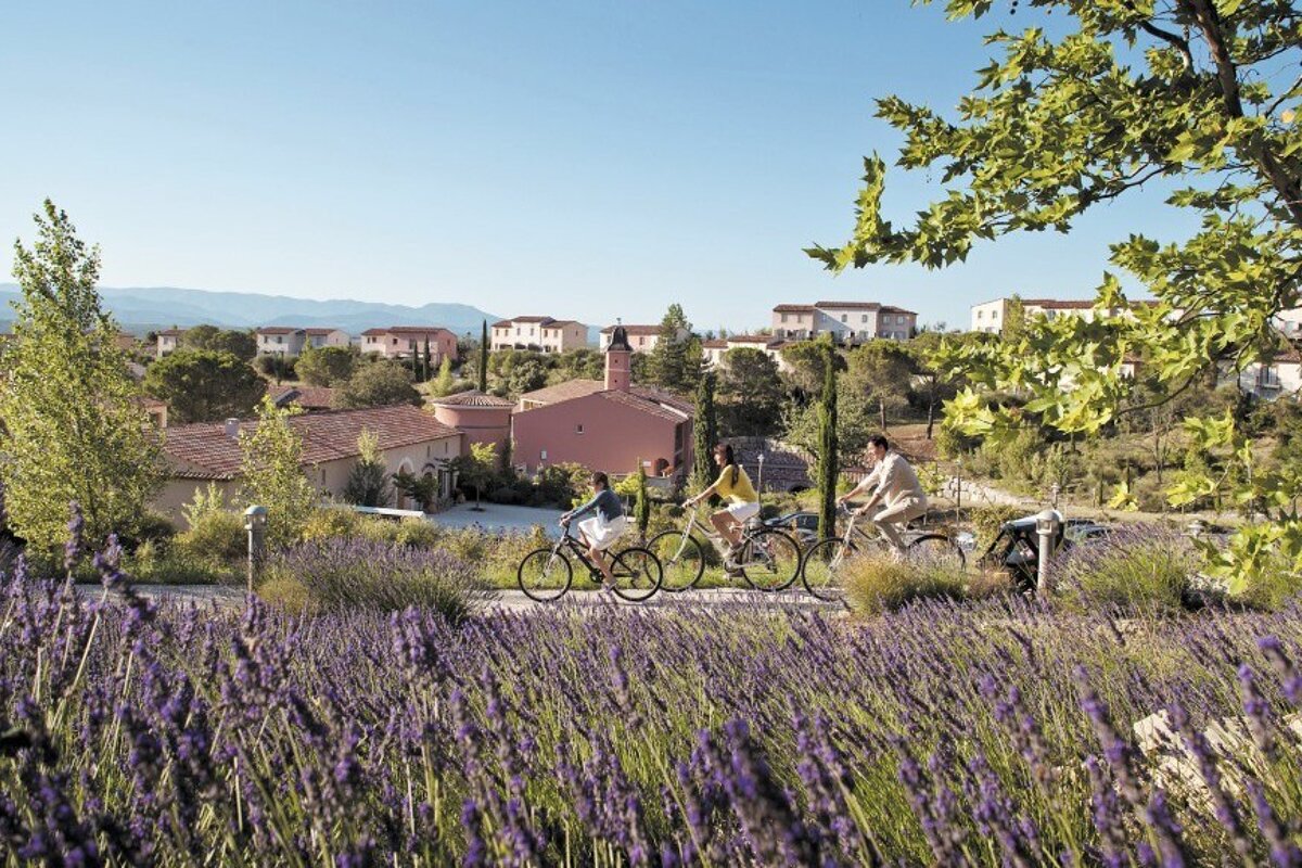 A couple riding bikes through a field of lavender