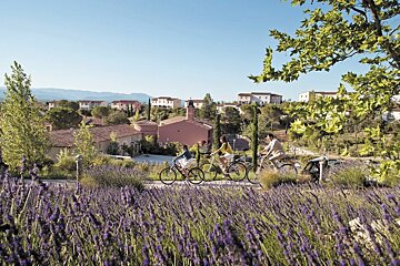 A couple riding bikes through a field of lavender