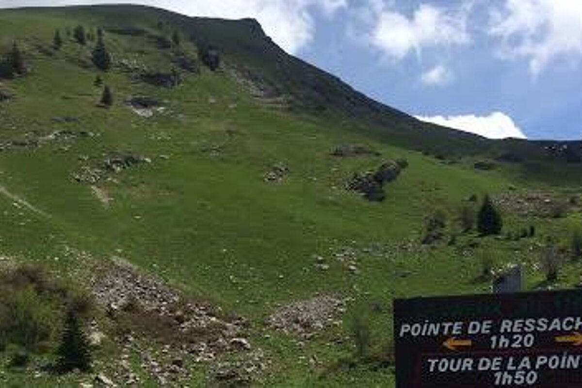 looking up at the top of a mountain