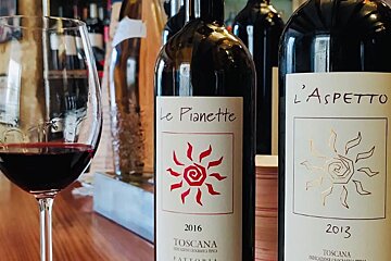 La Vinya de Santa Clara