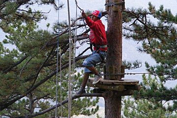 Someone setting up a tree top adventure in Nyon