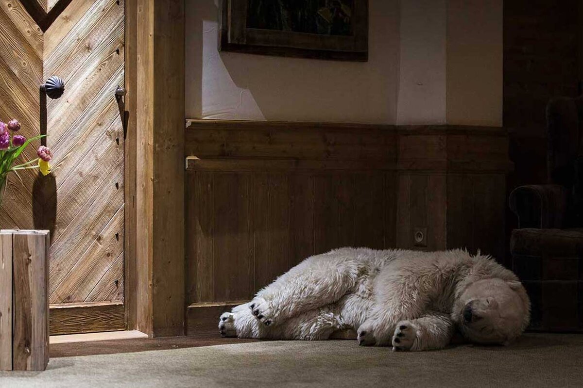 A stuffed polar bear is sleeping in a hallway next to a wooden door
