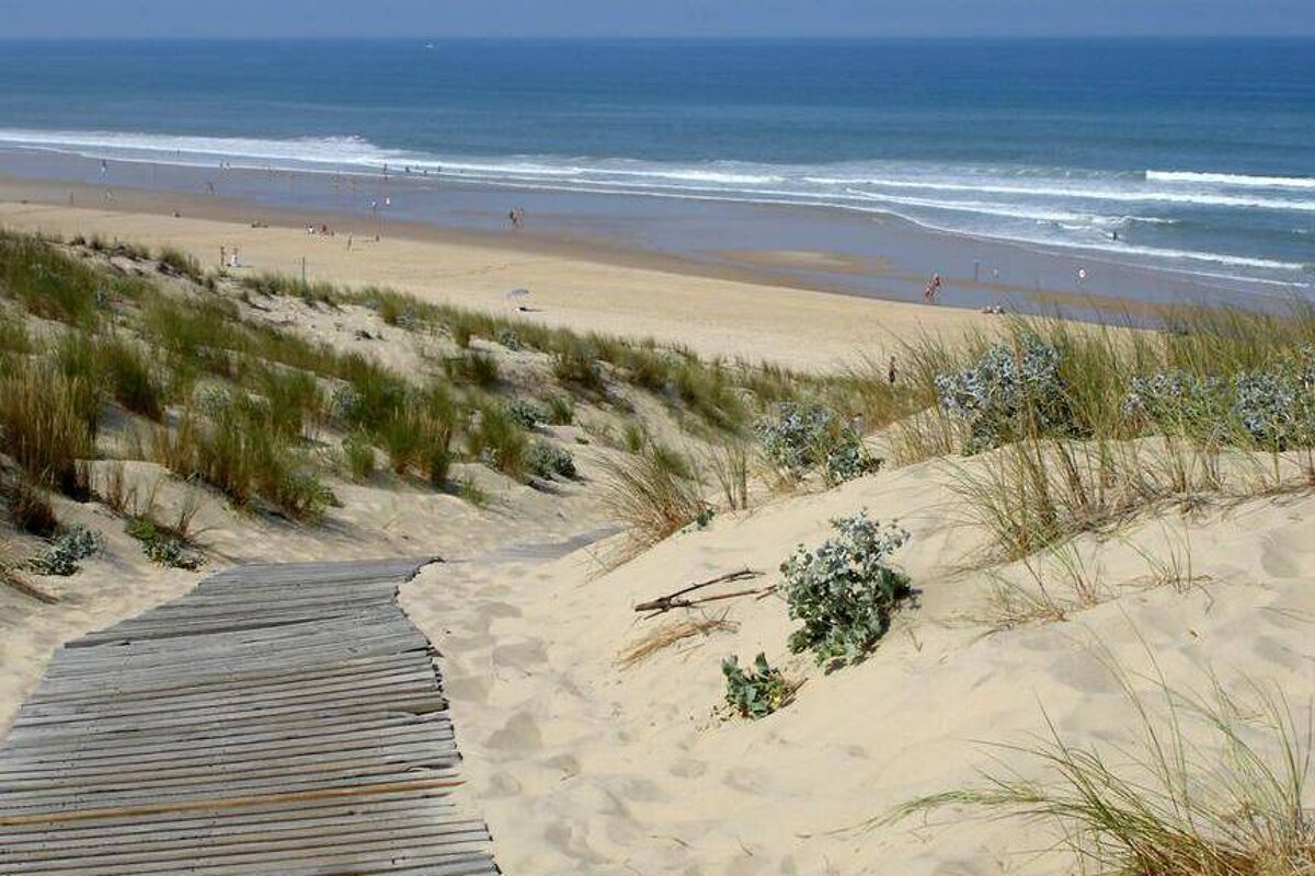 a wooden walkway going down a sandy bank to the beach & sea