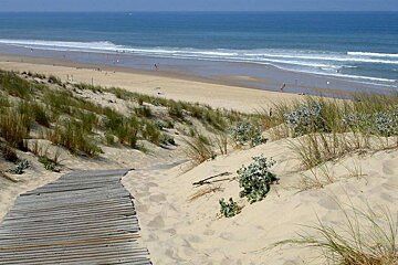 a wooden walkway going down a sandy bank to the beach & sea