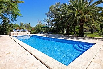 A large swimming pool surrounded by palm trees on a sunny day