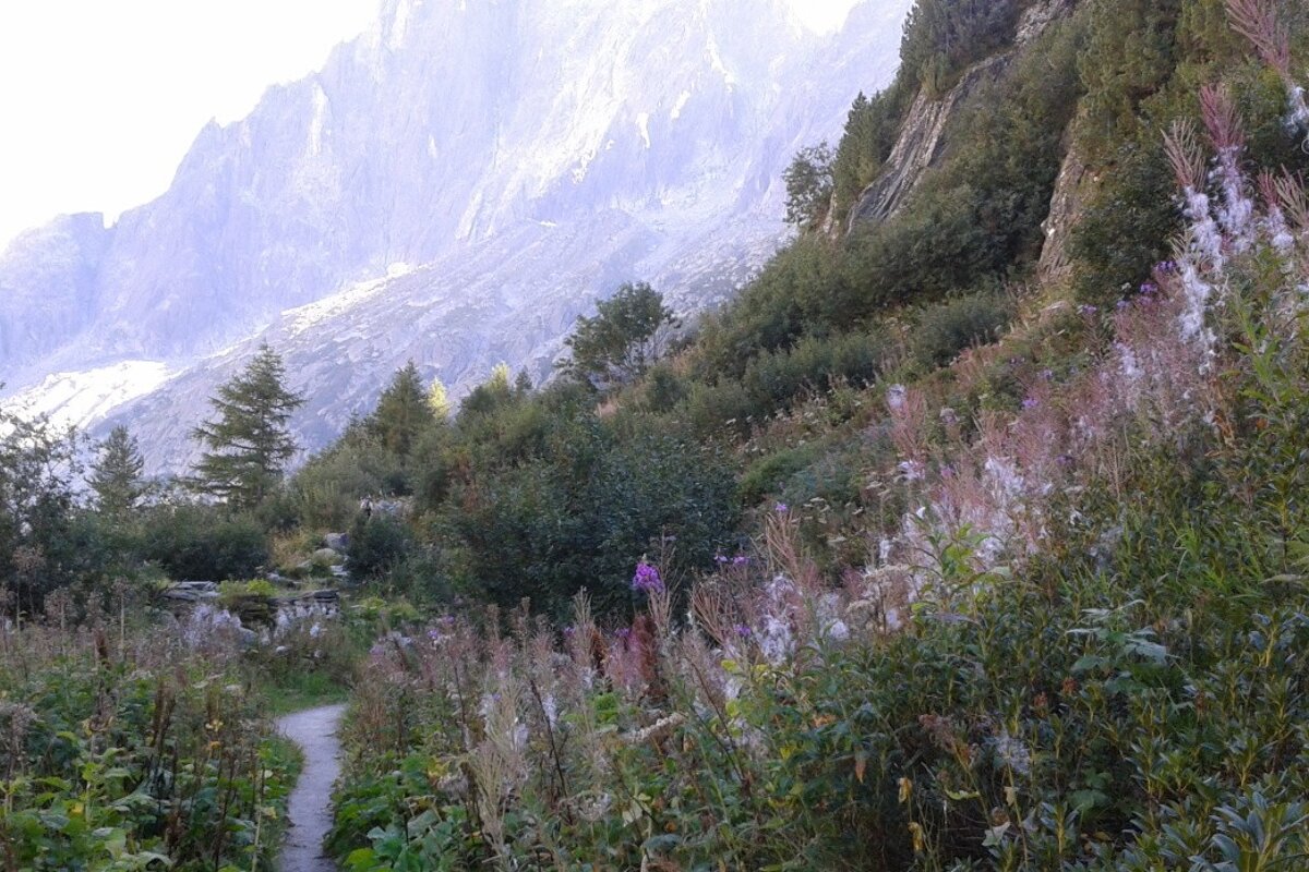 Trail Running Circuit : Chamonix to Montenvers Mer de Glace