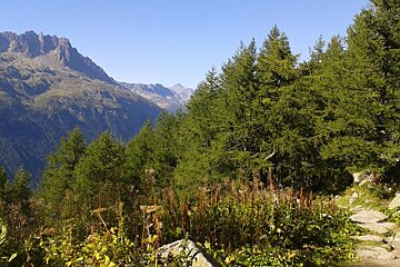 Trail Running Circuit : Chamonix to Montenvers Mer de Glace