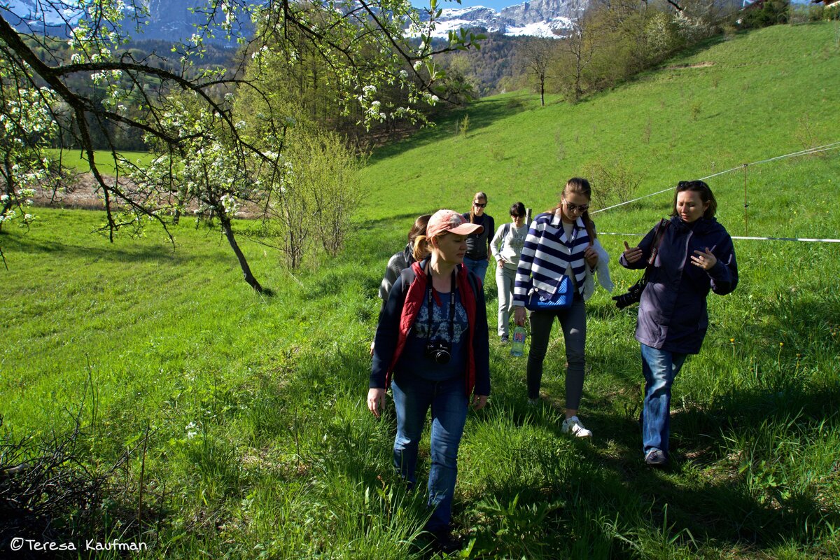 A group of people are walking through a grassy field with mountains in the background