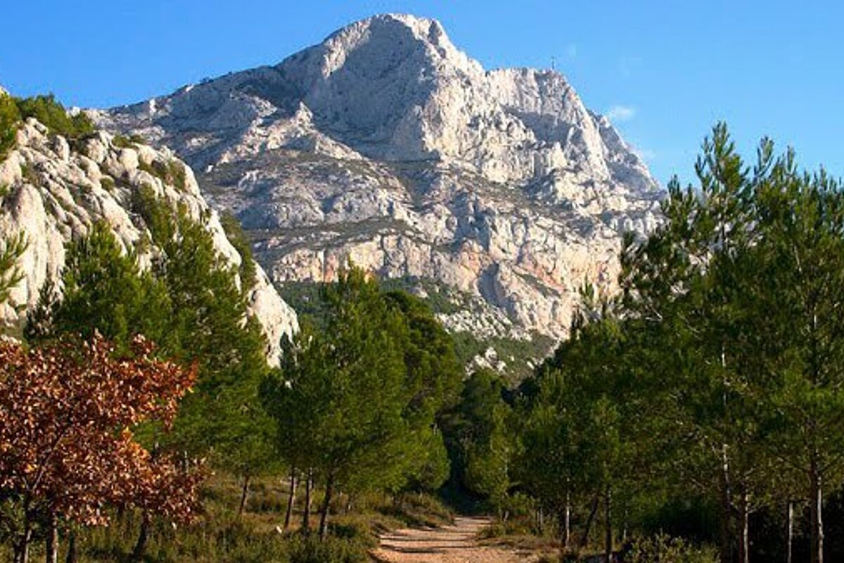 A dirt road going through a forest with a mountain in the background