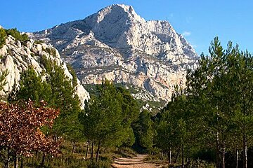 A dirt road going through a forest with a mountain in the background