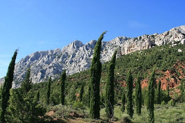 A mountain covered in trees with a blue sky in the background