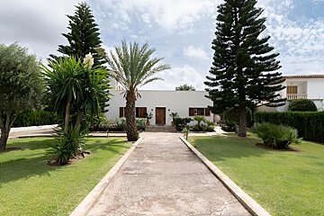A white house with a paved path, surrounded by a green lawn, palm trees, and tall evergreen trees under a cloudy sky.