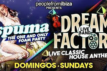 La Espuma & Dream Factory at Amnesia, San Rafael