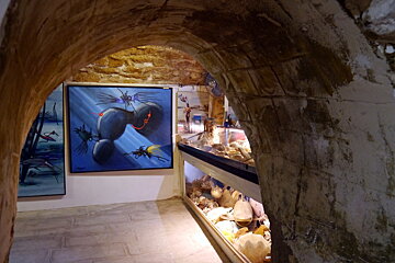 Musee Extraordinaire de Georges Mazoyer