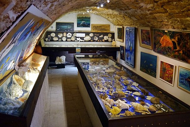 Musee Extraordinaire de Georges Mazoyer