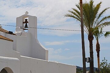 palm trees & the bell tower of san carlos church