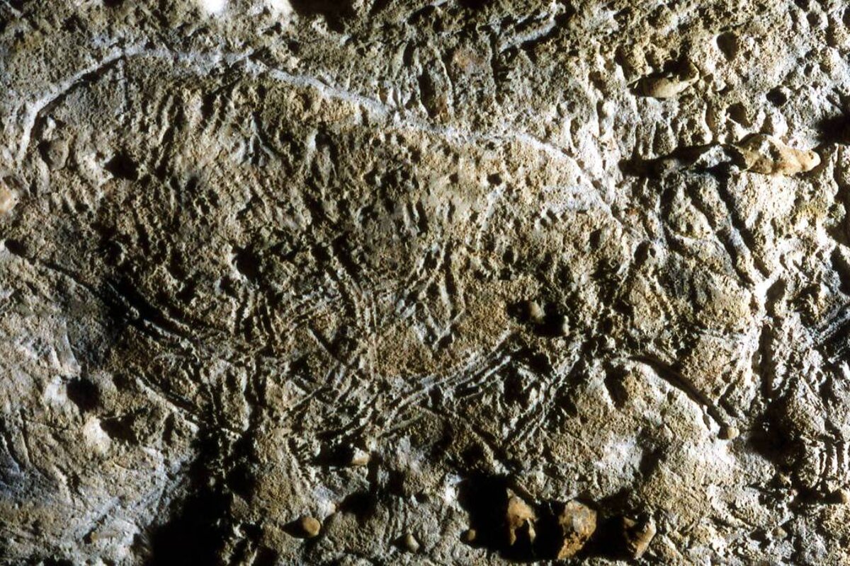 Grotte Bara-Bahau, Le Bugue