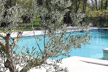 Le Mas de Cure Bourse Hotel, Isle sur la Sorgue pool