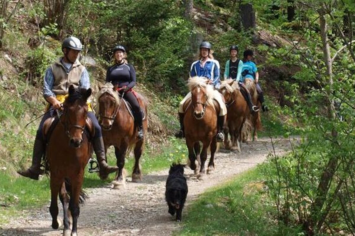 Centre Equestre Du Mont-Blanc, Les Houches