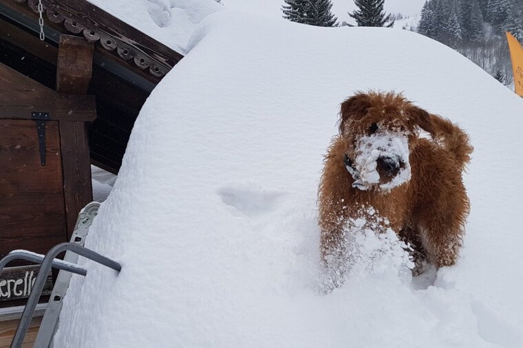 Fresh snow in Morzine, with more on the way