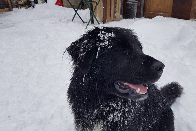 Fresh snow in Morzine, with more on the way