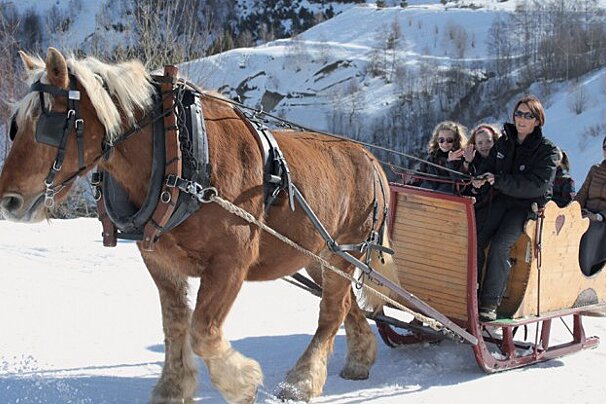 Horse drawn sleigh rides