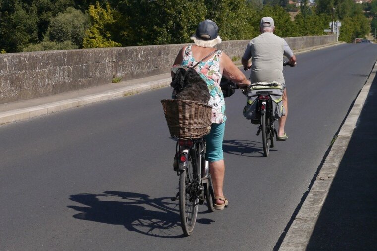 a couple cycling with dog in basket in Dordogne