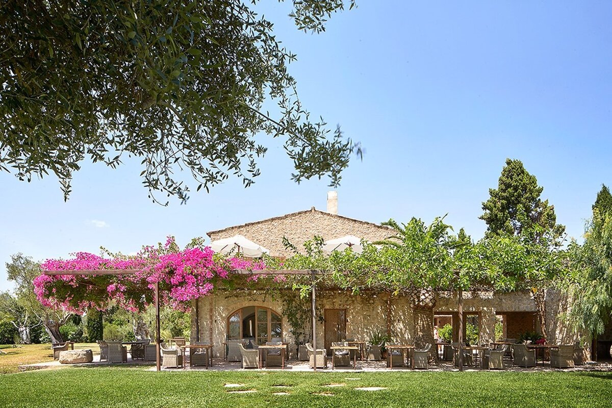 Sunny outdoor dining patio at a rustic stone building, adorned with vibrant pink bougainvillea and green vines, next to a manicured lawn.