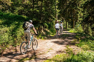 A group of people riding bikes down a dirt path in the woods