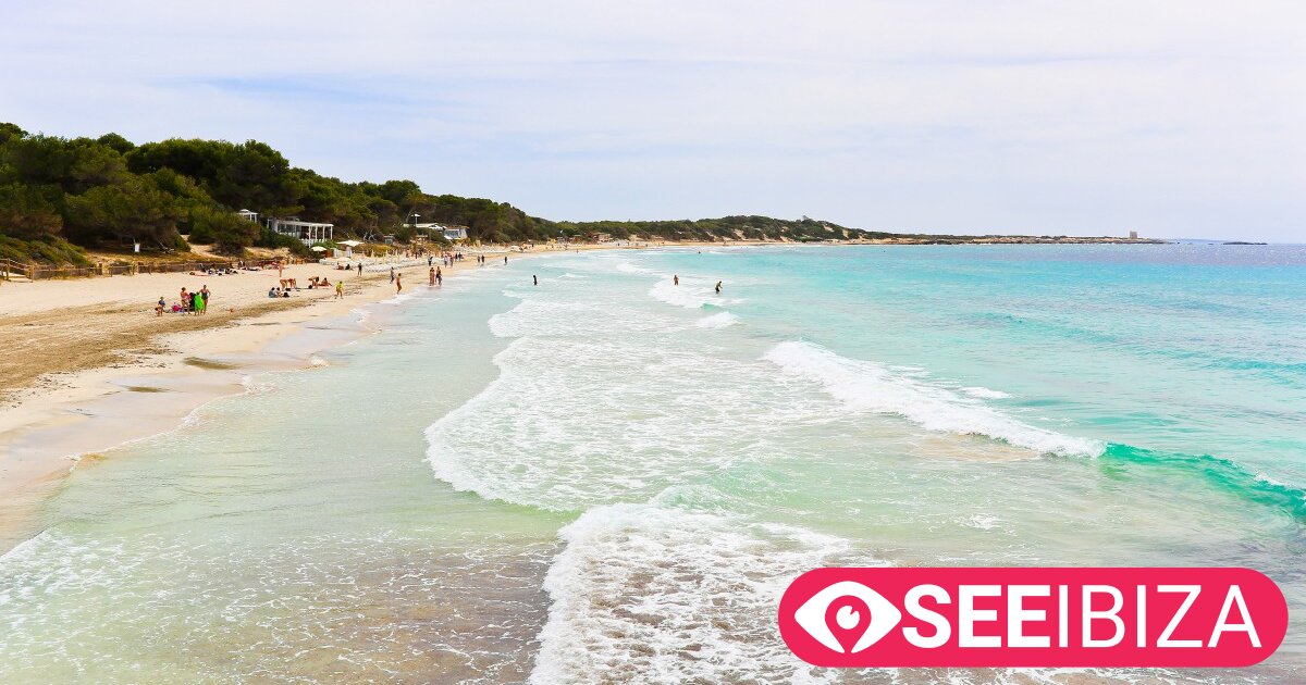 Exploring Ibiza: Unveiling the Island's Best Beaches - Las Salinas Beach